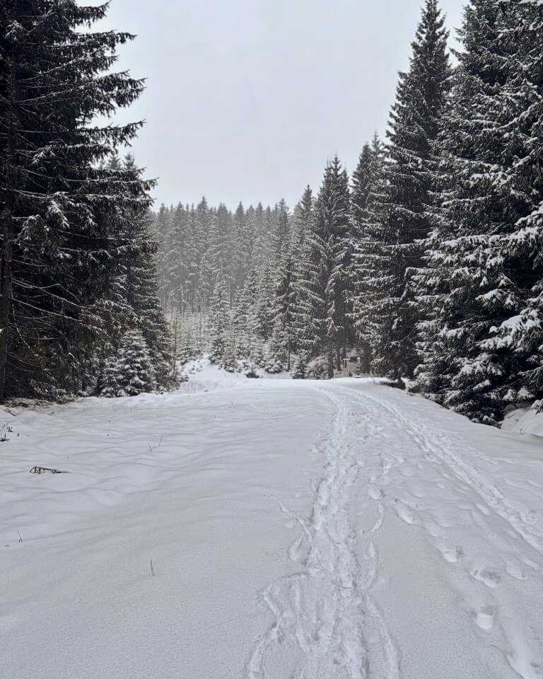 Zimní krajina Krušných hor